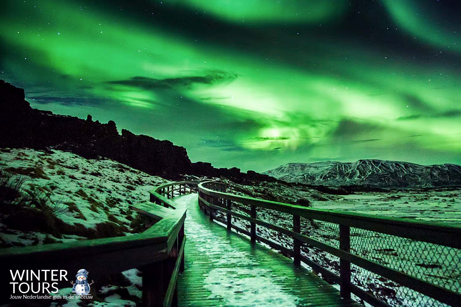 Noorderlicht Bus Tour