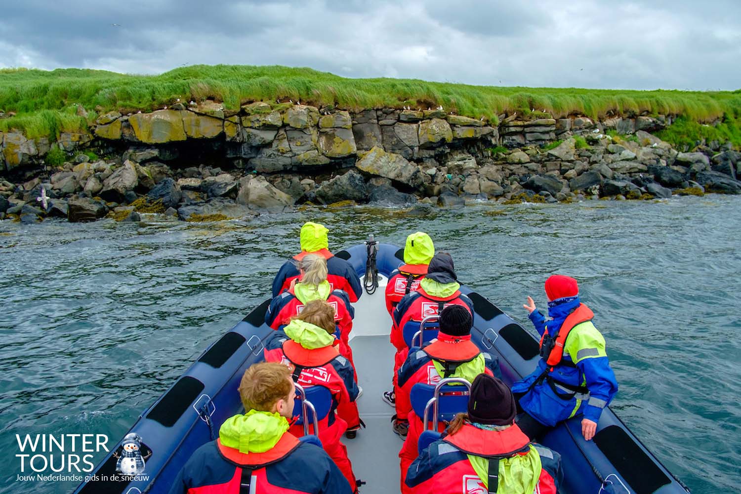 Exclusieve Puffin Watching Tour met Powerboat Reykjavik